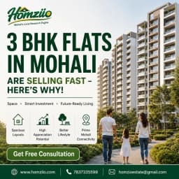 Buying a 3 BHK in Mohali? Homziio Has Verified Options - Properties in Delhi (Image 1)