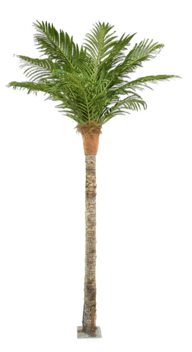 Shweta Enterprise - Artificial Plants & Grass - Buy/Sell in Hyderabad (Image 1)