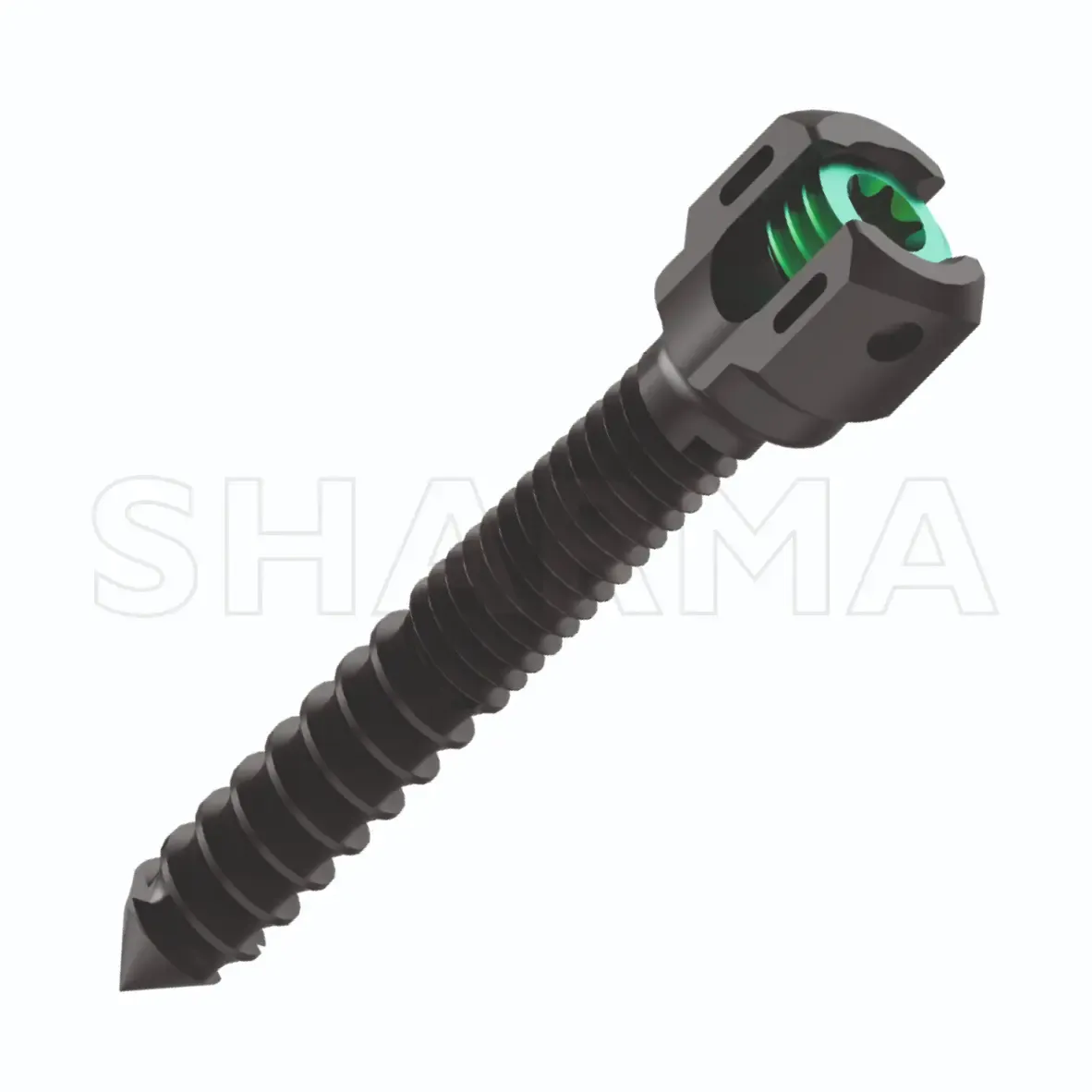 Premium Spinal Implants & Spine Systems | Sharma Orthopedic - Services in Vadodara (Image 1)