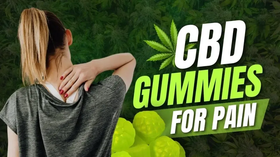 Balance Bloom CBD Review: Dosage, Price, Sale, Offers, Official Website, Usage & Important Tips - Cars in Bangalore (Image 1)