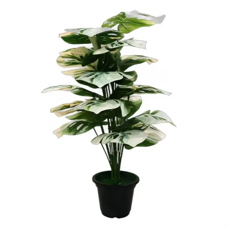Shweta Enterprise - Artificial Plants & Grass - Buy/Sell in Hyderabad (Image 4)