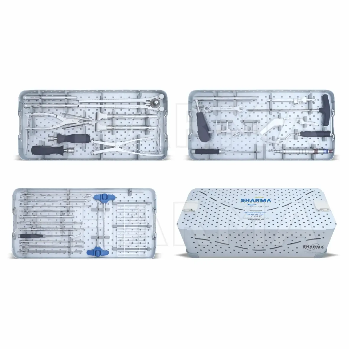 Premium Spinal Implants & Spine Systems | Sharma Orthopedic - Services in Vadodara (Image 2)